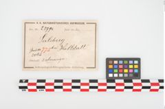 Etikett zu Bronzeknotenarmreif (NHMW-PRAE-025994)